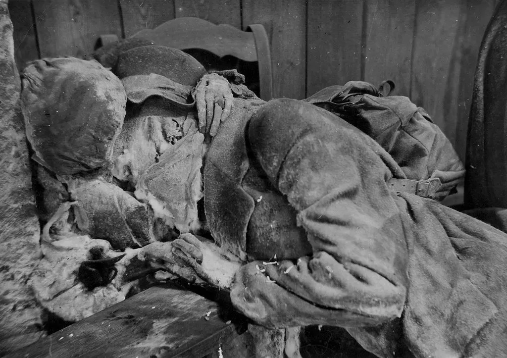 Запечатленная история