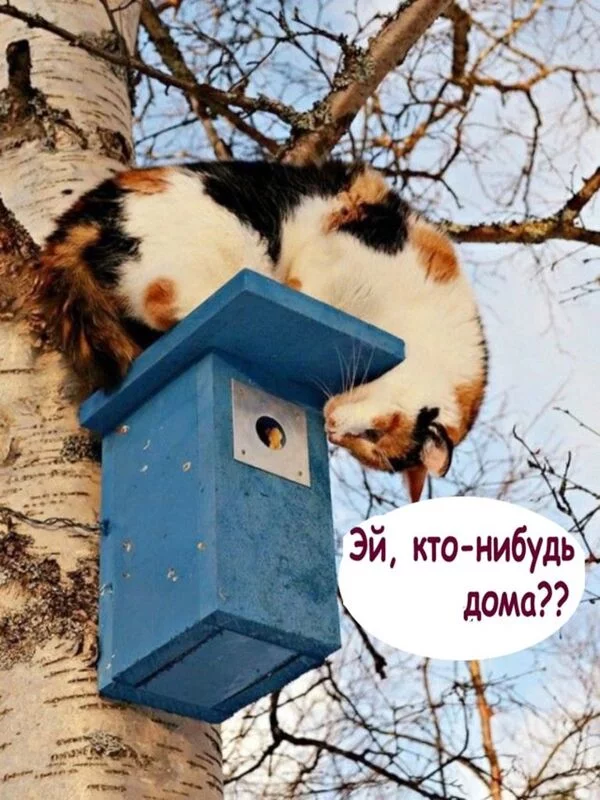 Посмеялся сам - поделись с другом!!!