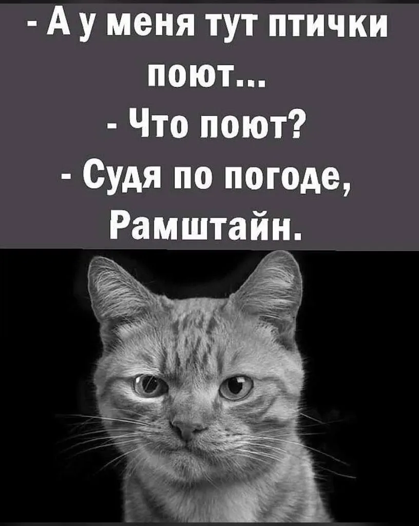 Посмеялся сам - поделись с другом!!!