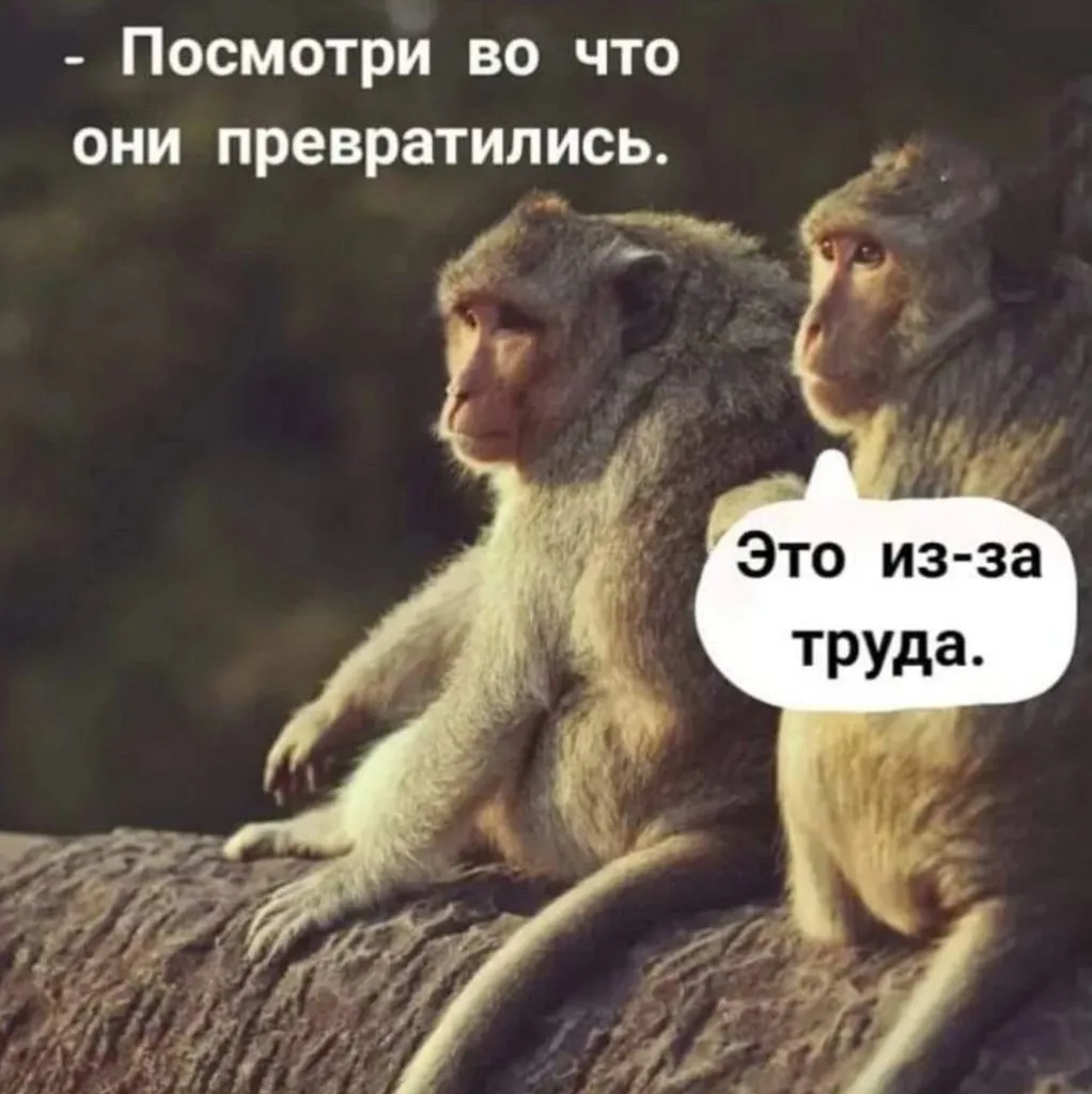 Посмеялся сам - поделись с другом!!!