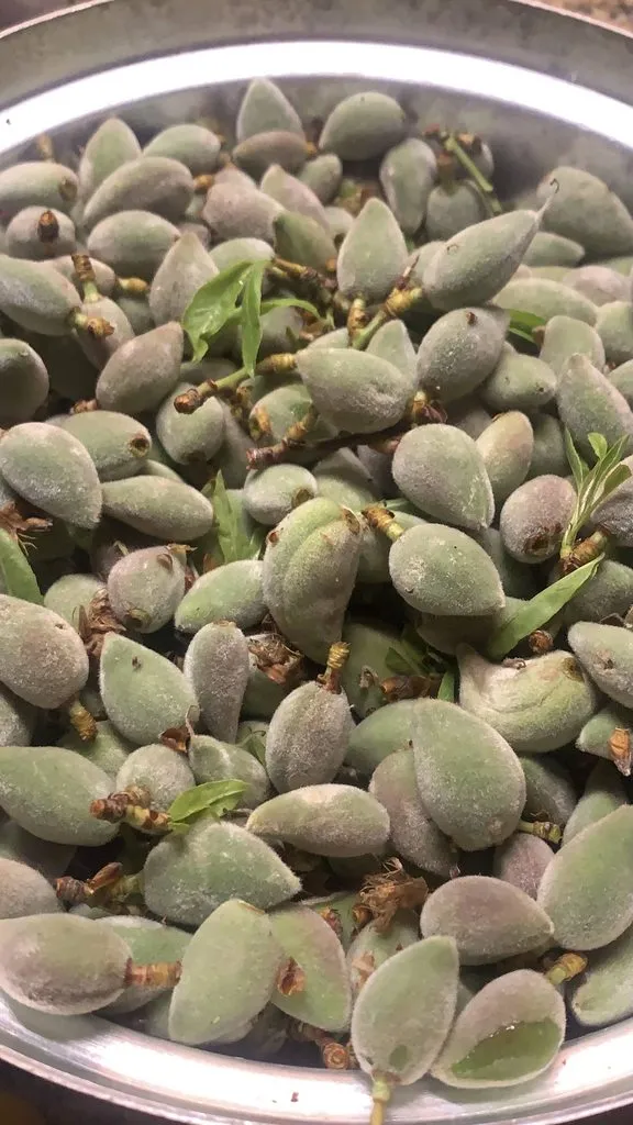 Что Вы сейчас едите? Фотоблог с вашего стола