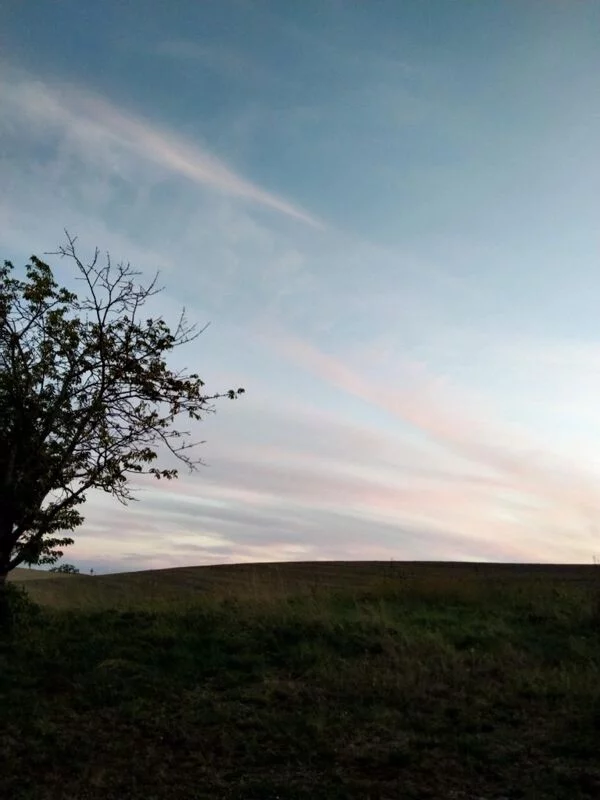 Фотонастроение