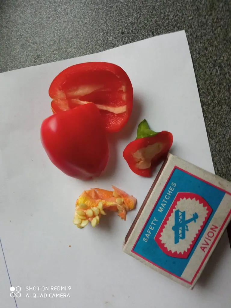 Сад и огород на балконе
