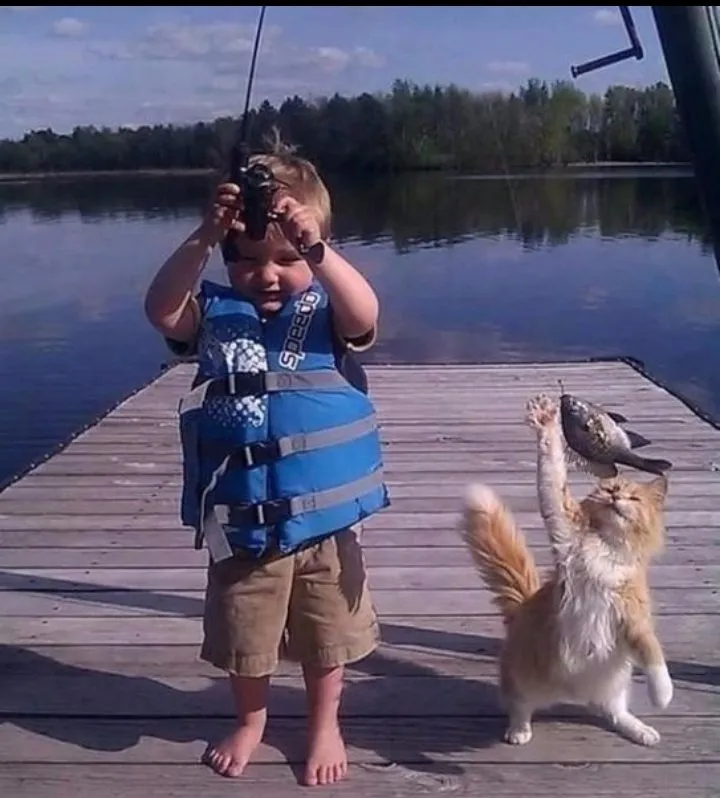 Посмеялся сам - поделись с другом!!!