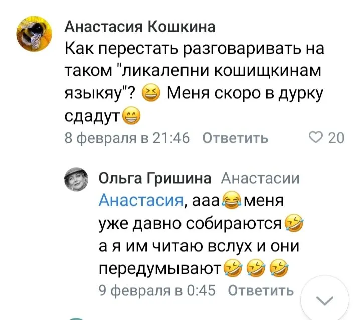 Кошичкина полиция