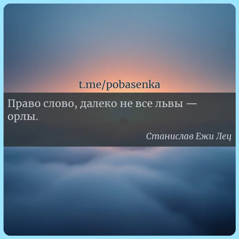 «Право слово, далеко не все львы — орлы...» height="550" width="550"