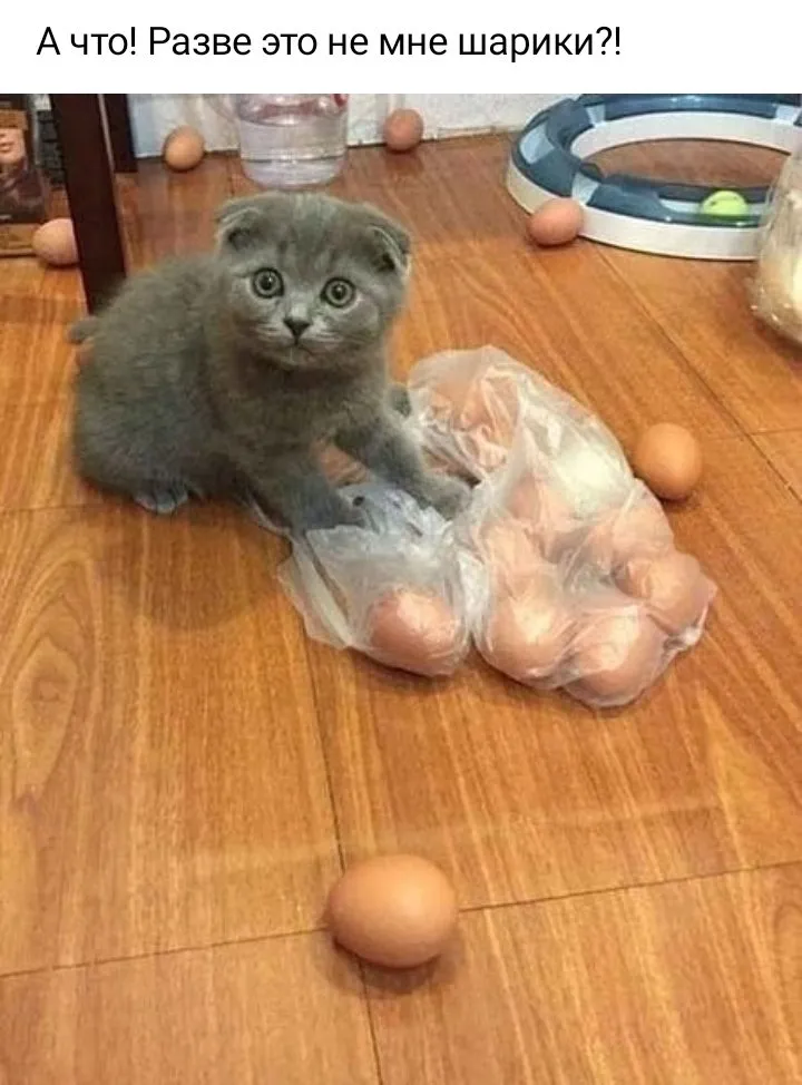 Кафе «У пани Сони»