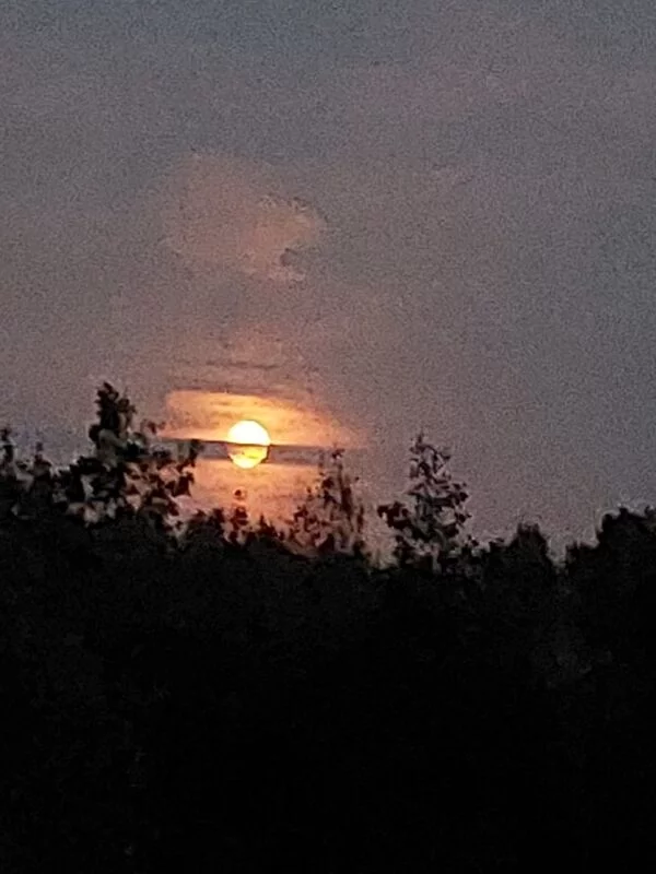 Такое разное небо