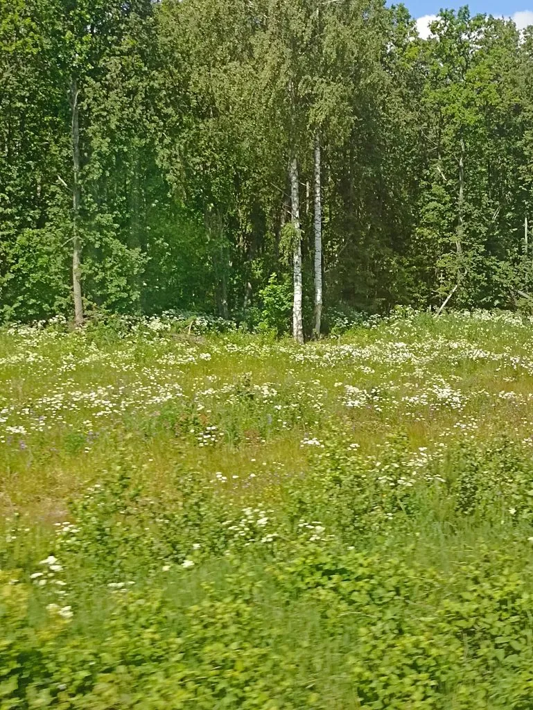 Фотонастроение