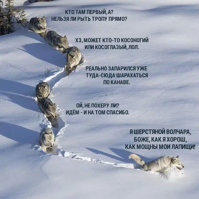 Посмеялся сам - поделись с другом!!!