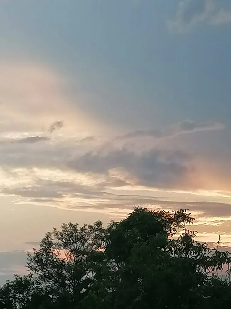 Чайная беседка