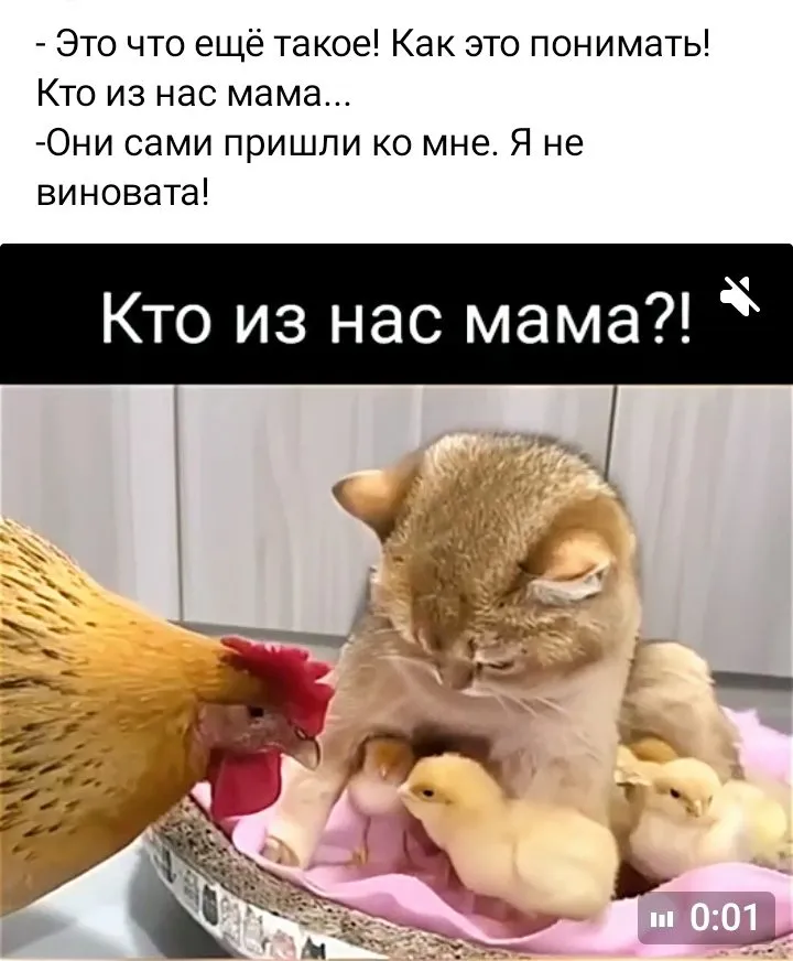 Посмеялся сам - поделись с другом!!!
