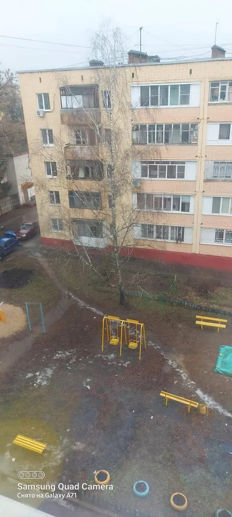 Tapтaлeтки & Ко