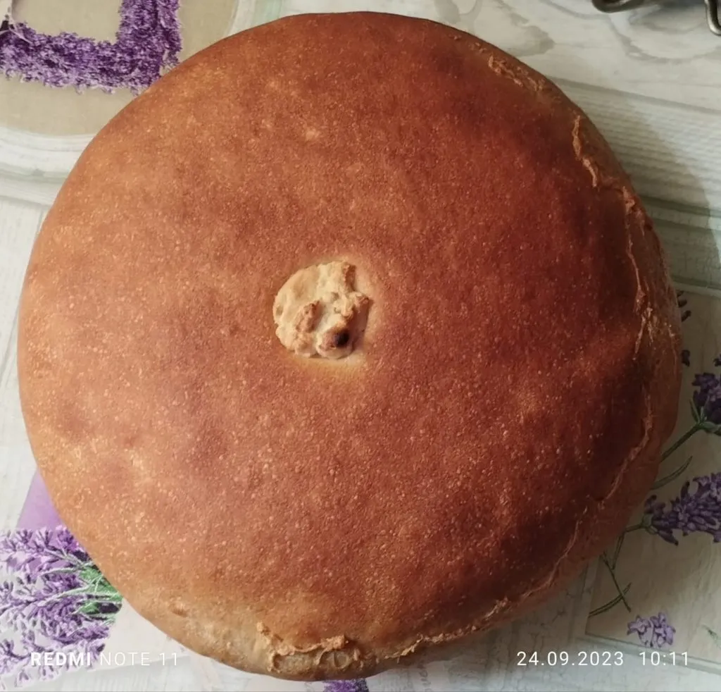 Tapтaлeтки & Ко
