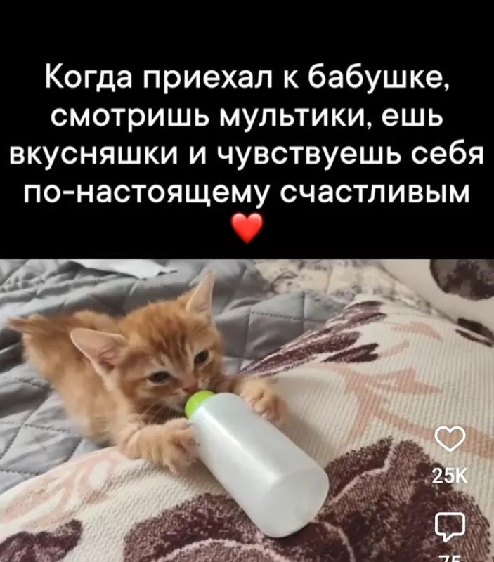 Кафе "У пани Сони"