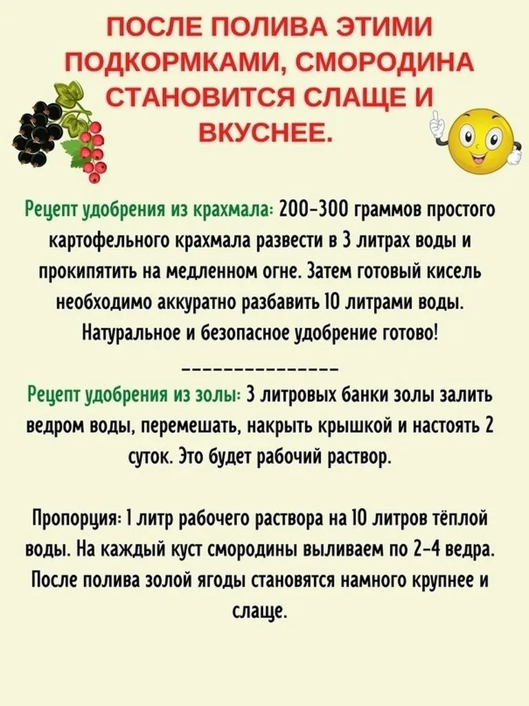 Сажаем, растим, собираем урожай…