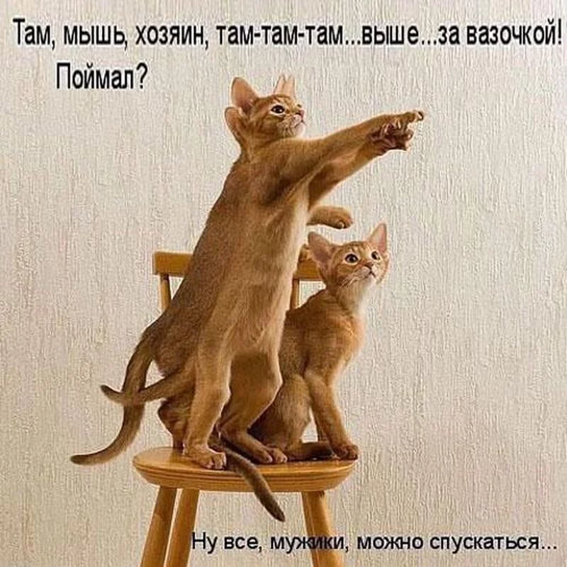 Посмеялся сам - поделись с другом!!!
