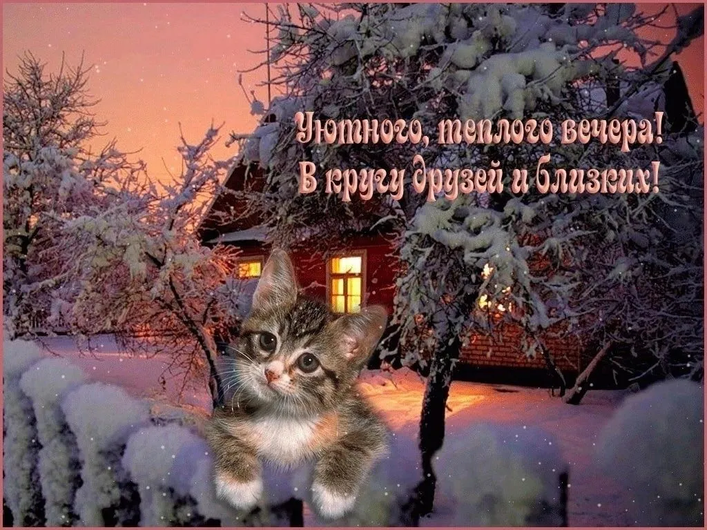 Кафе «У пани Сони»