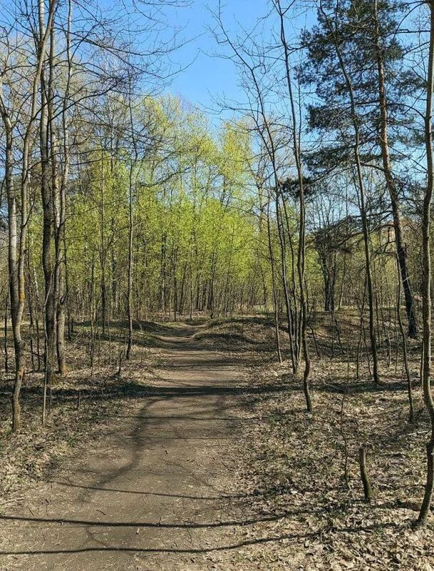 Tapтaлeтки & Ко