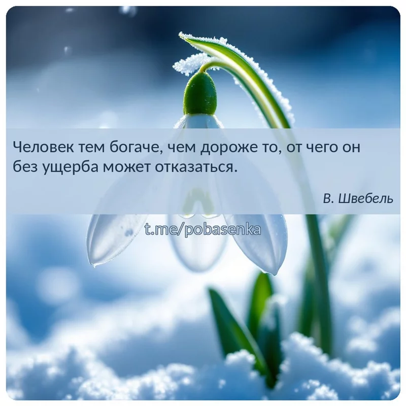 «Человек тем богаче, чем дороже то, от чего он без ущерба может...» height="550" width="550"