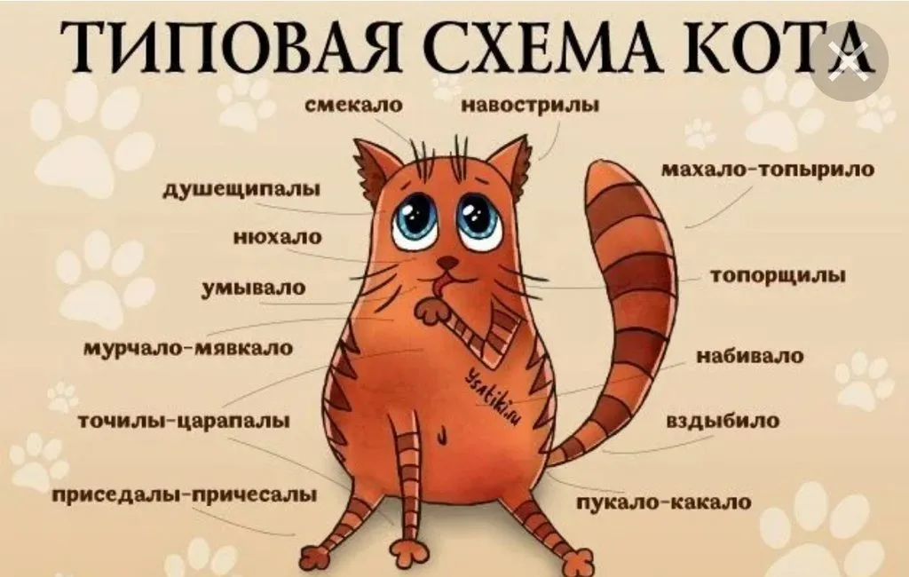 Кто сказал «Мяу»?