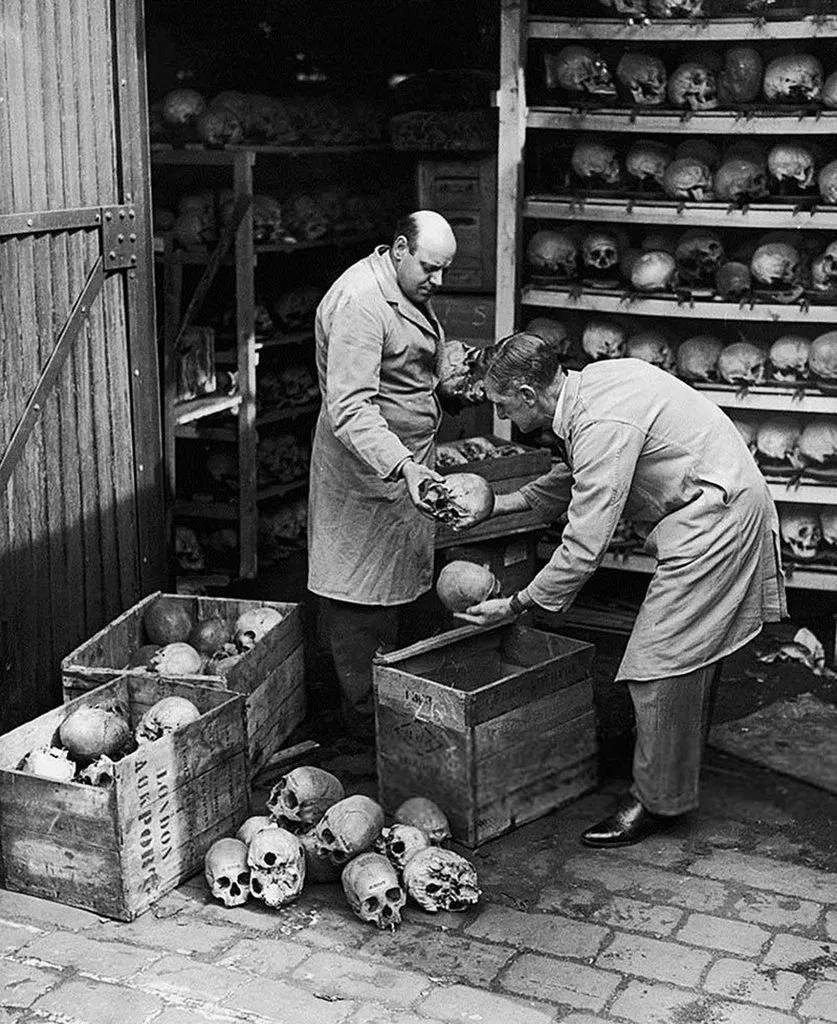Запечатленная история