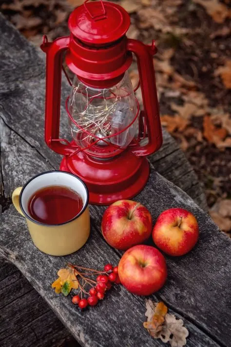 Чайная беседка