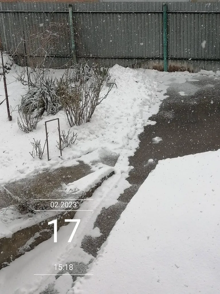 Чайная беседка