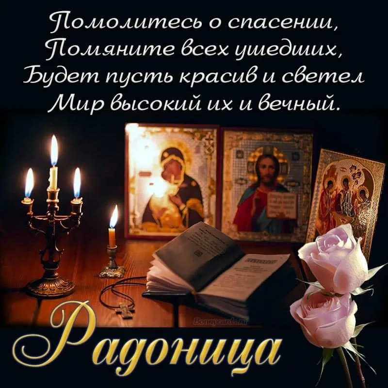 Tapтaлeтки & Ко