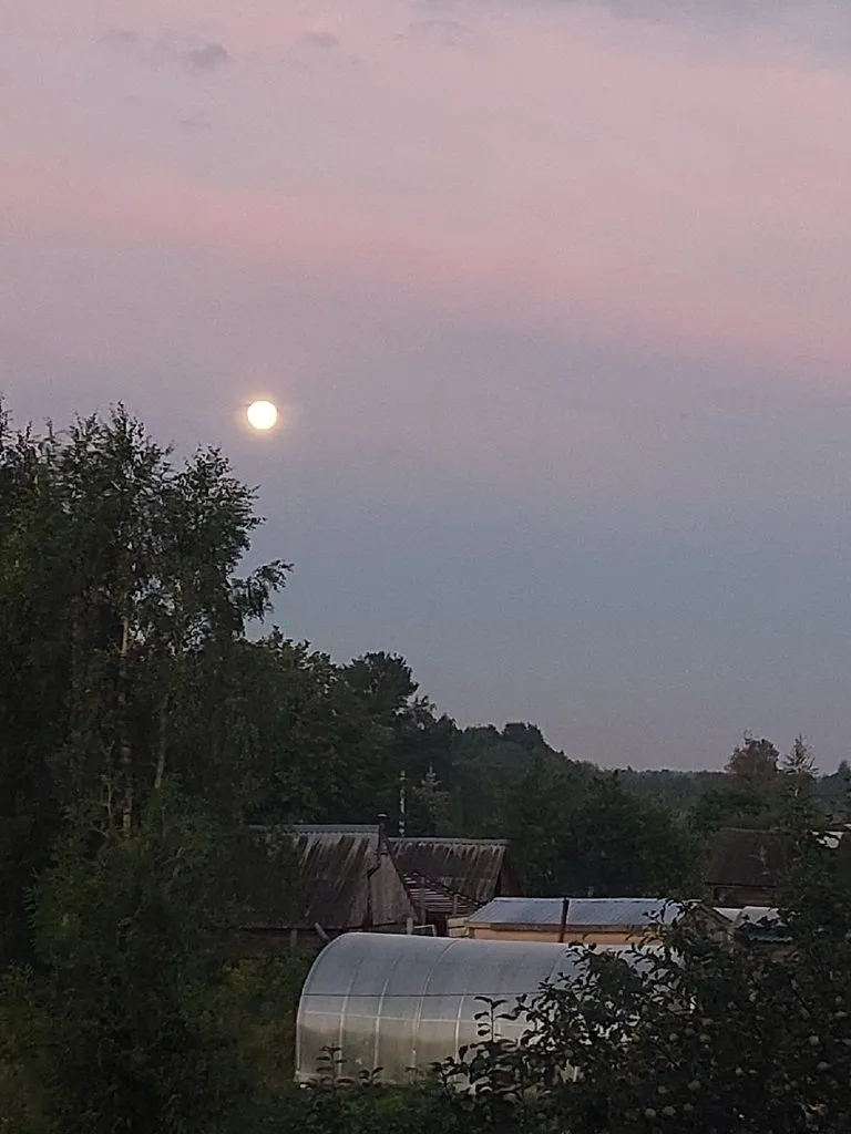 Такое разное небо