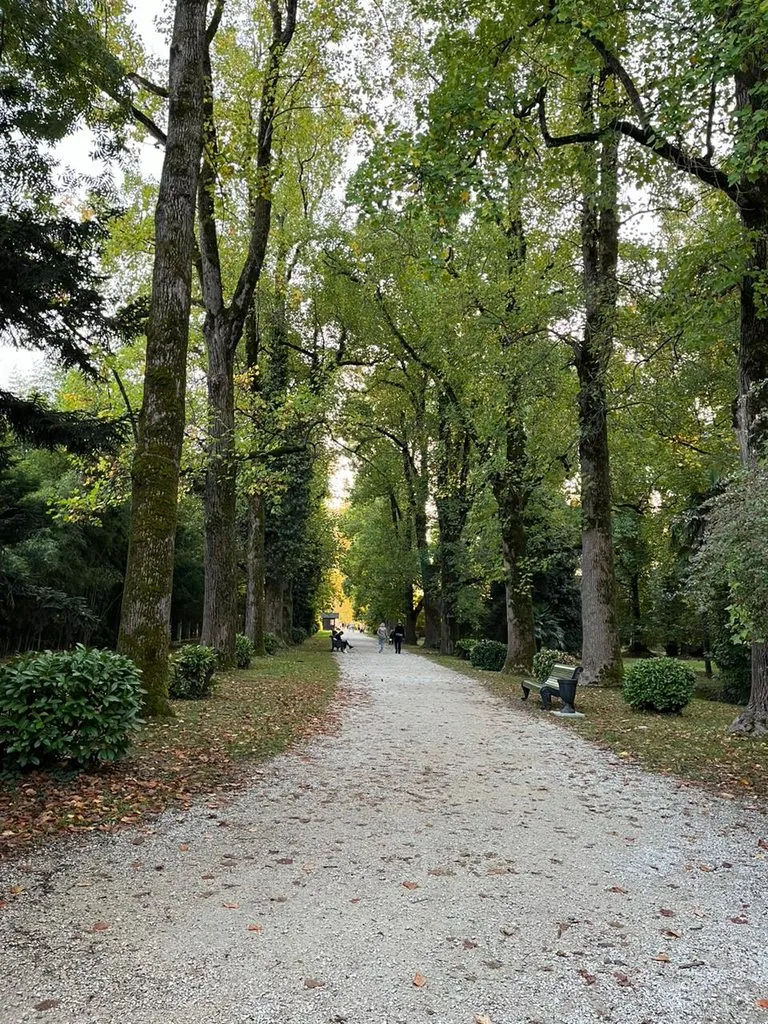 Чайная беседка