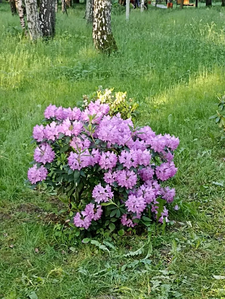 Калининградская область (не только море и янтарь) 