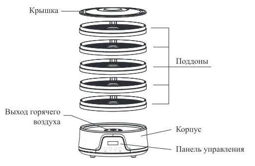 Сушилки для овощей и фруктов Kitfort КТ-1927, КТ-1929 и КТ-1931