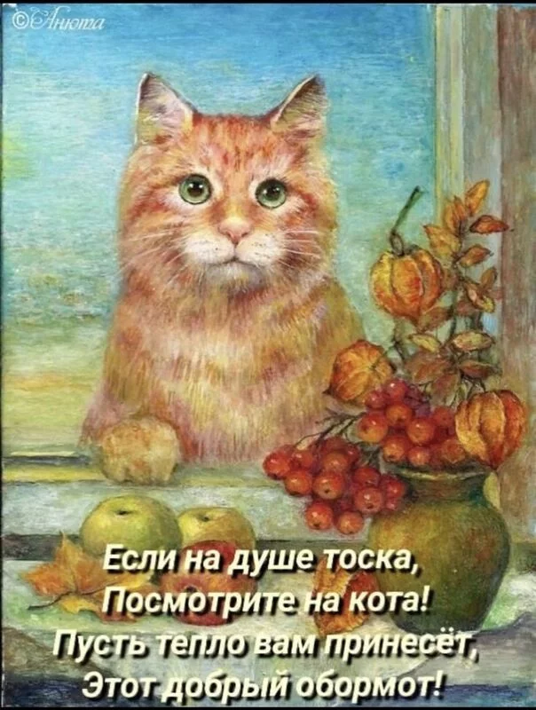 Кто сказал "Мяу"?