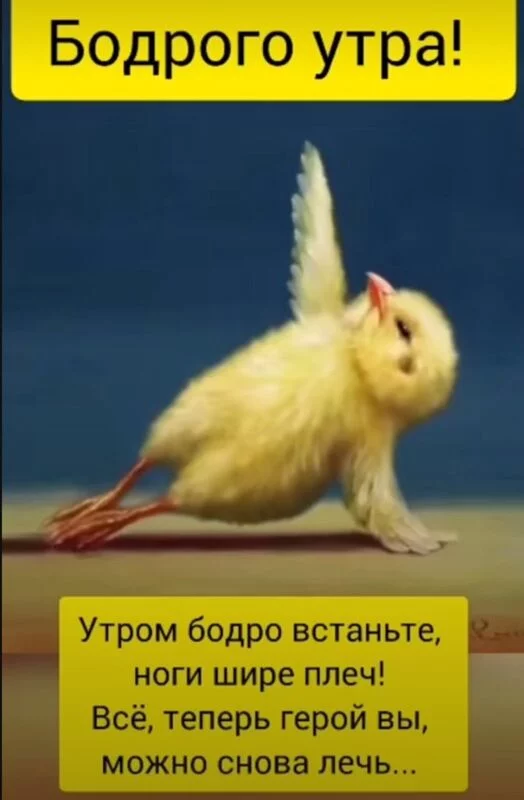 Tapтaлeтки & Ко