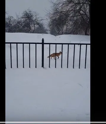 Коломенское