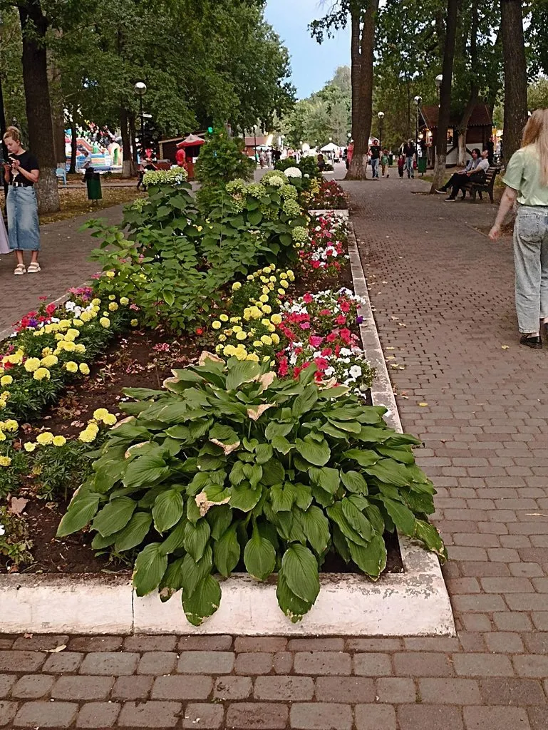       Ах, Самара - городок... 