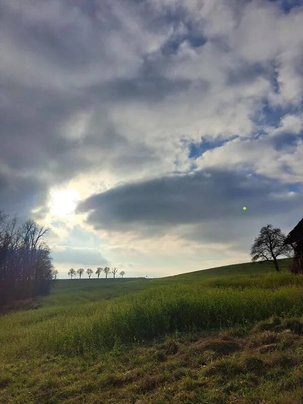 Чайная беседка