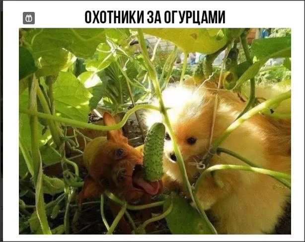 Посмеялся сам - поделись с другом!!!