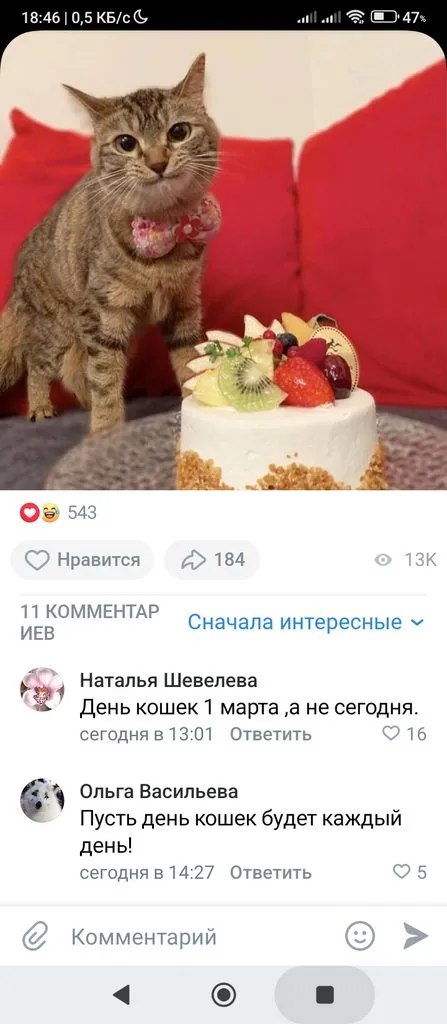 Кошичкина полиция
