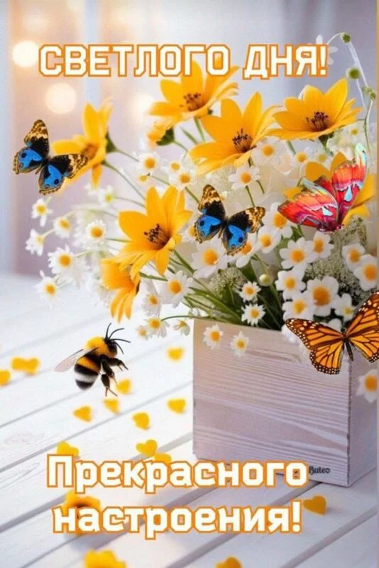 Кафе "У пани Сони"