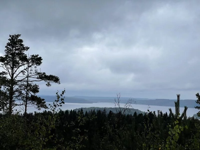 Чайная беседка