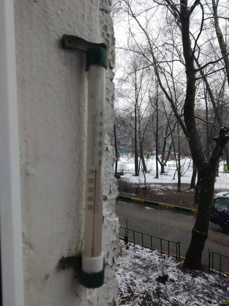 Tapтaлeтки & Ко