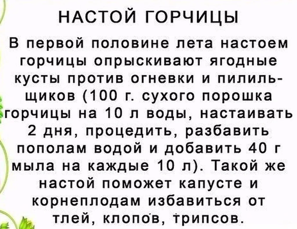 Садово-огородная  инфографика
