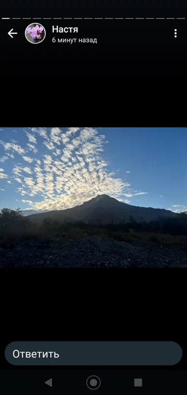 Чайная беседка