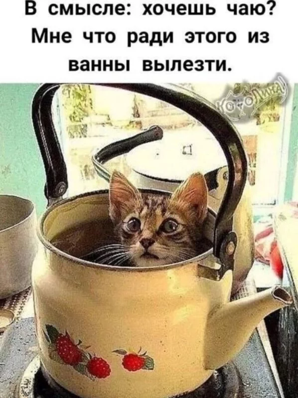 Посмеялся сам - поделись с другом!!!