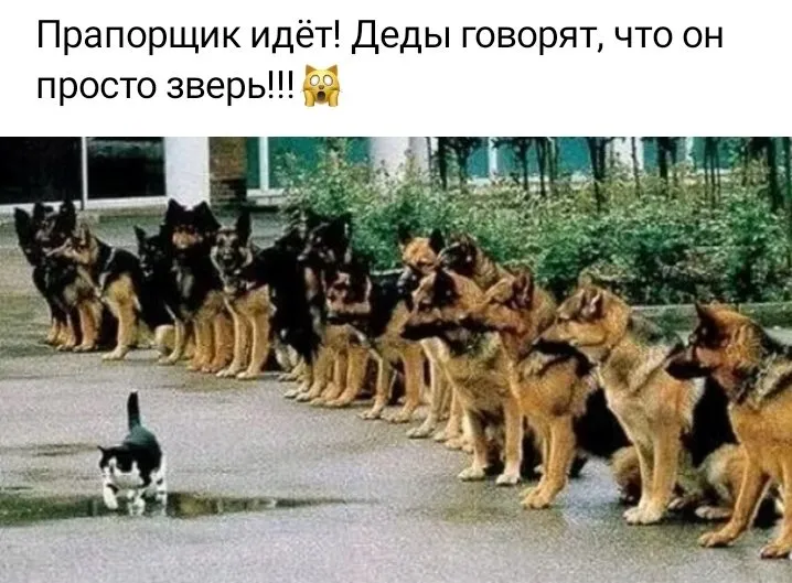 Посмеялся сам - поделись с другом!!!