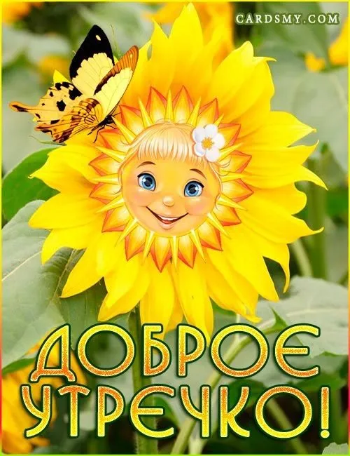 Кафе «У пани Сони»