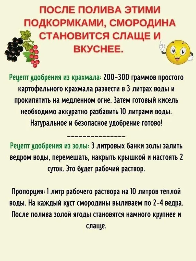 Садово-огородная  инфографика