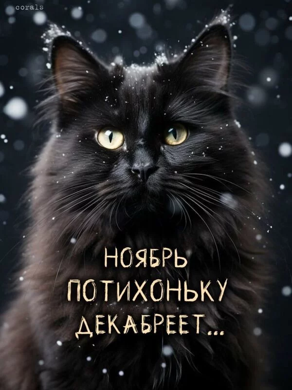 Позитивчик (фото, видео, рассказы для хорошего настроения)